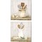 Vintage Kitchen by Tara Reed 14" x 14" Canvas Wall Art (Set of 2)